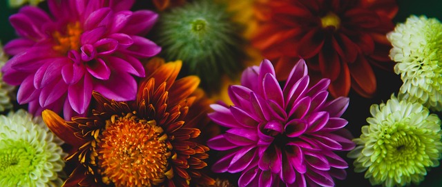 免过度训练 免过度训练