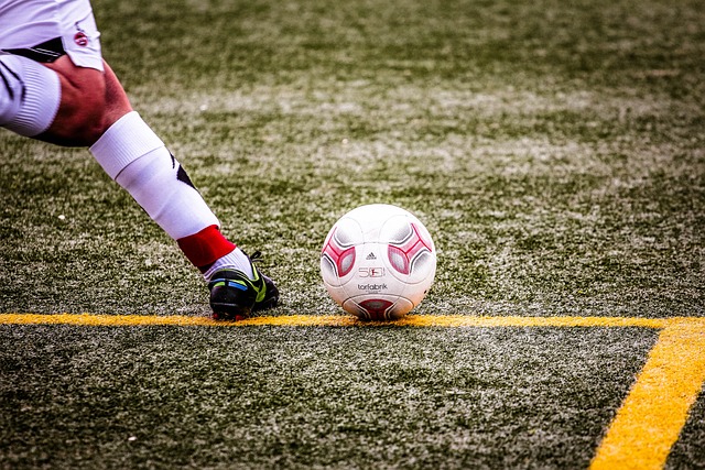 共同铸就了 共同铸就了