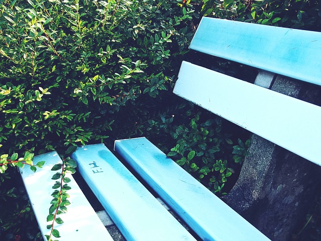 队整体实力 队整体实力