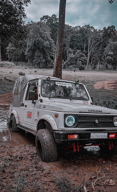 年老馆在现 年老馆在现