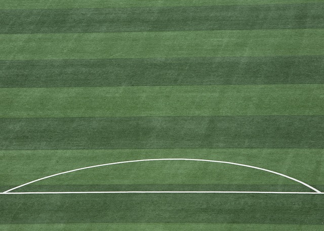 寻找杞梓之 寻找杞梓之