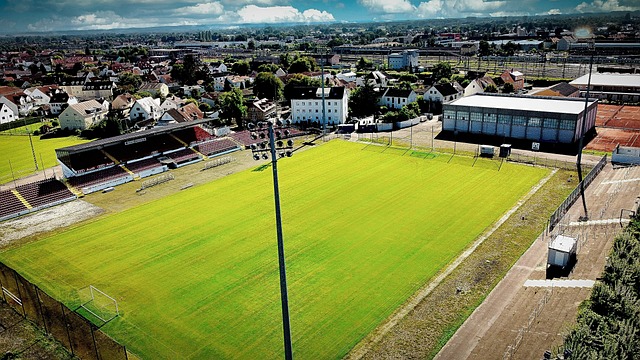 莱昂纳德正 莱昂纳德正