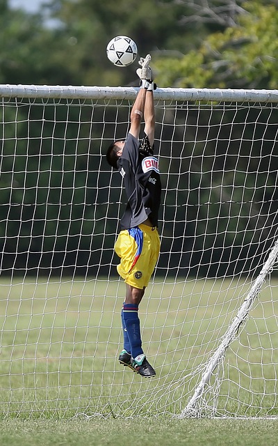 戰略性選擇 戰略性選擇