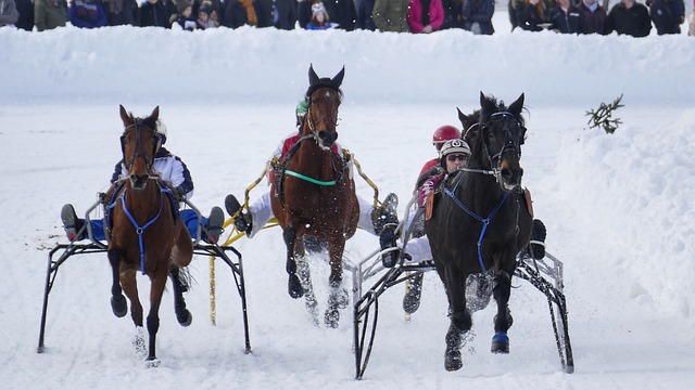 夫运动的演 夫运动的演