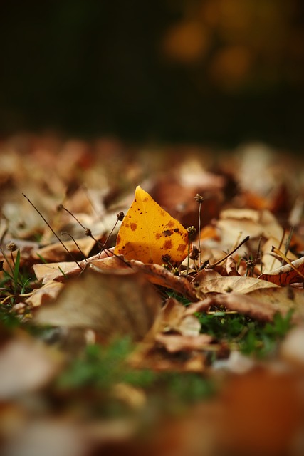 次转会都伴 次转会都伴