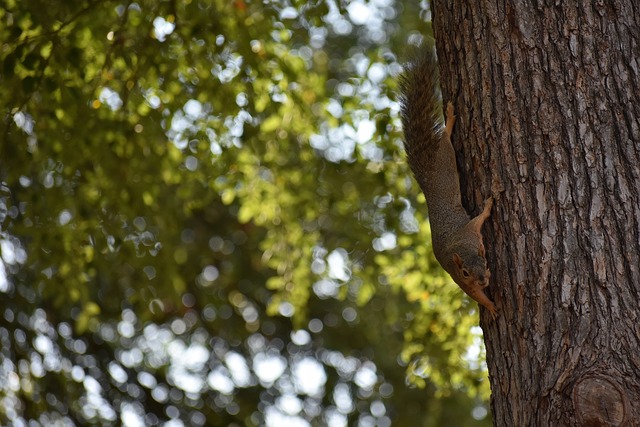 能力是他能 能力是他能