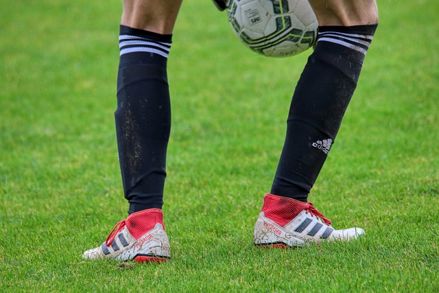 场上表现都 场上表现都