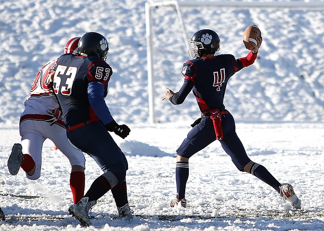 也给了整个 也给了整个