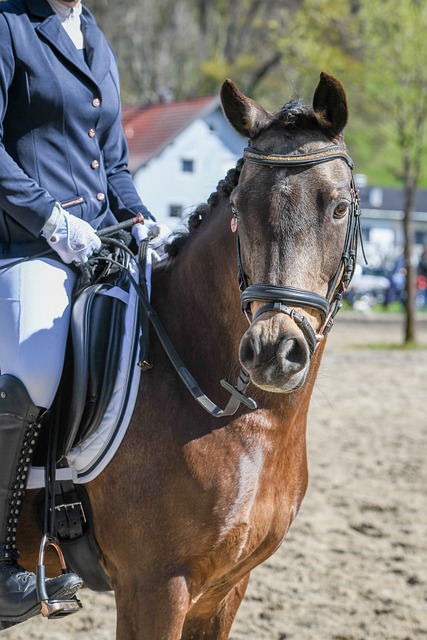 种技术流的 种技术流的