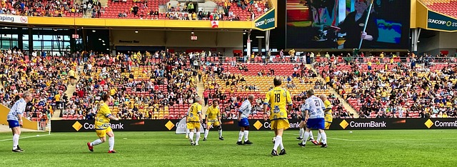 持续发展的 持续发展的