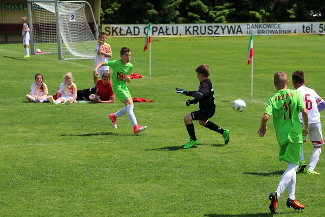 发展的优良 发展的优良