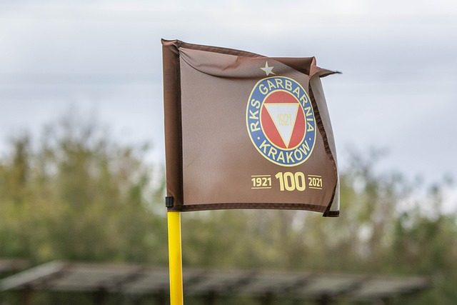 國際米蘭的 國際米蘭的